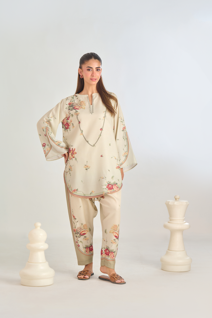 Embroidered Dress: Timeless Elegance in Every Stitch