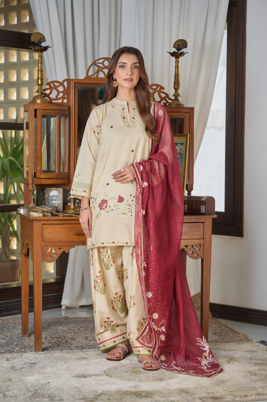Pakistani Clothing – A Deep Dive Into Heritage, Fashion, and Modern Style for Women