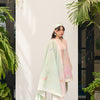 Milky Way Dupatta