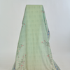 Mint Haze Dupatta